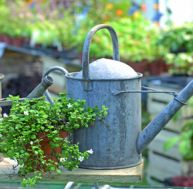 Arrosez votre jardin sans gaspiller