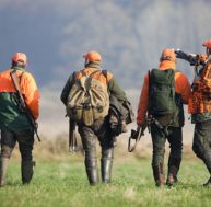 Peut-on chasser sans validation du permis de chasse ?