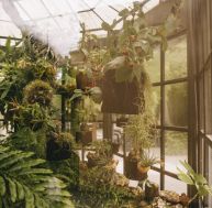 Créer votre propre jardin vertical : un espace vert même sans jardin