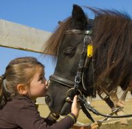 Initier ses enfants à l'équitation