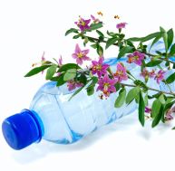 Que faire d'amusant avec des fleurs et une bouteille en plastique ?
