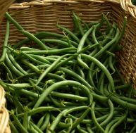 Cultiver des haricots verts