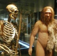 Représentation de l'homme de Néandertal - © Wikimedia CC. / Photaro