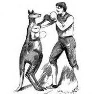 Au début du 20e siècle, des combats de boxe entre kangourous et hommes passionnaient les foules.
