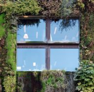Protégez votre façade avec un mur végétal