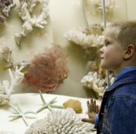 Les musées développent la curiosité de vos enfants