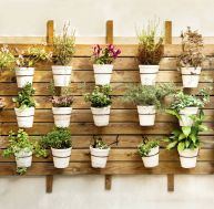 Décorer sa terrasse avec des plantes en pot