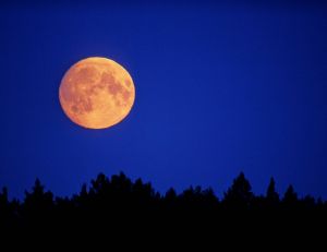 14 novembre : ne ratez pas la super lune, la plus grande du XXIe siècle !