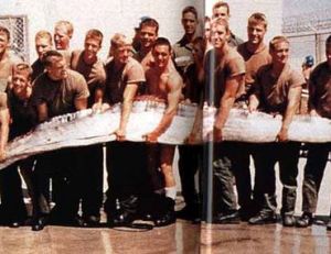 Un régalec d'environ 12 m capturé en 1996 dans les eaux du Pacifique par l'armée américaine