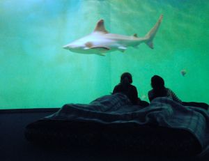 L'aquarium de Saint-Malo