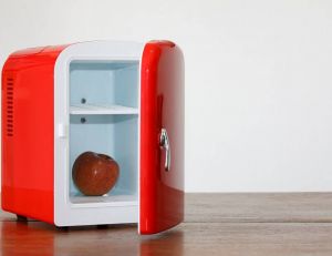 Beauté : fridge, le nouveau joujou des influenceuses / iStock.com - vofpalabra