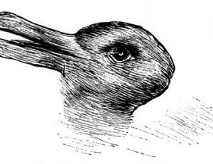 On peut voir dans ce dessin allemand du 19ème siècle un canard ou un lapin