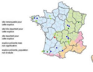 Situation actuelle des moules perlière en France, source Natura 2000