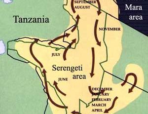 Carte des migrations des gnous bleus entre la Tanzanie et le Kenya