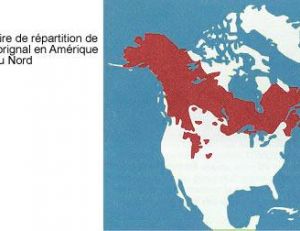 Carte de répartition des orignaux en Amérique du Nord