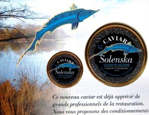 Le caviar solognot