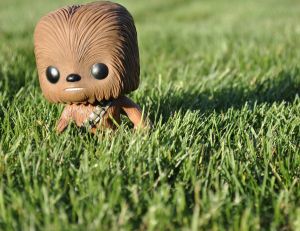 Mini Chewbacca dans l'herbe - copyright Alana / Flickr CC.