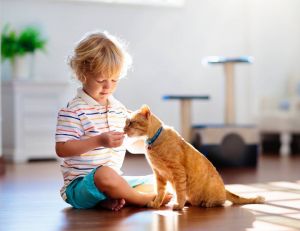 Chiens, chats : les bienfaits d'un animal de compagnie sur vos enfants / iStock.com - FamVeld