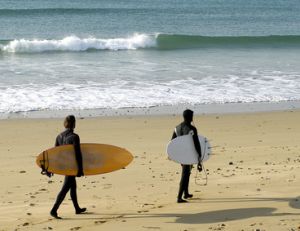 Choisir sa combinaison de surf