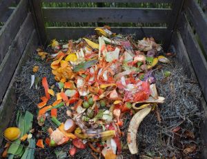 DIY : comment fabriquer son propre compost ?