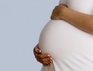 Congé maternité et indemnités journalière