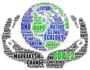 COP22 : la 22e conférence des parties sur le changement climatique débute au Maroc