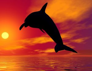 Représentation d'un dauphin dans le coucher du soleil