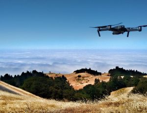 Des drones pour reforester la planète : une solution high-tech pour lutter contre la déforestation