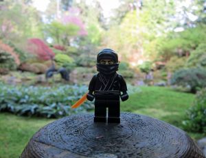 Des Lego Ninjago se cacheront dans cinq villes de France, samedi 4 avril à 10h - copyright wiredforlego / Flickr CC.