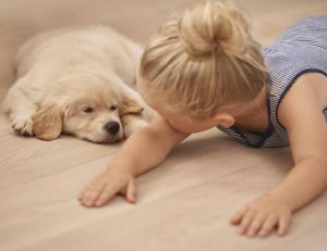 Les chiens bonifieraient la santé des enfants