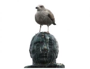 Goéland sur une statue