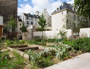 Good news : l'agriculture urbaine, l'avenir des citadins ? / iStock.com - SilviaJansen