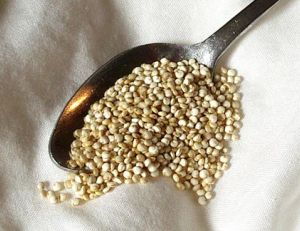 Graines de Quinoa - © methylsoy / Wikipédia Commons