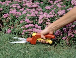 Utiliser des ciseaux et des couteaux dans le jardin