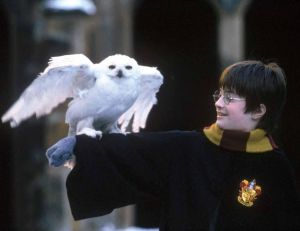 Harry Potter à l'école des sorciers © Warner Bros
