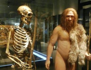 Représentation de l'homme de Néandertal - © Wikimedia CC. / Photaro