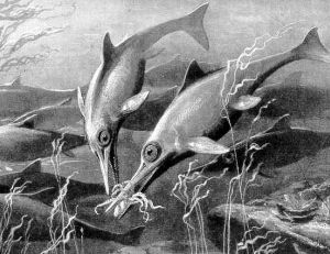 Ichtyosaures : la ressemblance avec les dauphins est troublante