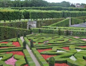 Exemple de jardin à la française : le Jardin de Villandry