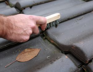 Nettoyage et entretien d'une toiture