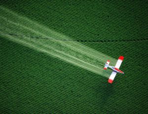 Les pesticides seraient 1 000 fois plus toxiques qu'on ne le redoutait / iStock.com - Pablo_K
