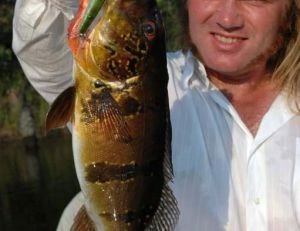 Ce peacock-bass du Brésil n’a pas résisté au Gunnish