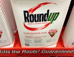 Le desherbant Roundup de Monsanto - copyright Mike Mozart / Flickr CC.