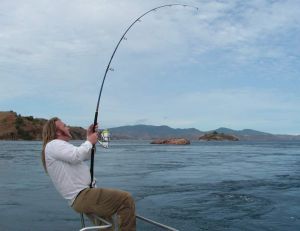Les moulinets à tambour fixe haut de gamme sont parfaits pour la pêche des gros poissons tropicaux