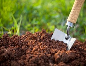 Naturels, chimiques ou encore terreau : quels engrais pour votre sol ? / iStock.com - malerapaso
