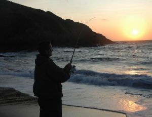 Le crépuscule, le meilleur moment pour pêcher durant l'été