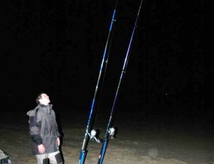 La pêche de nuit en surfcasting est souvent très rentable