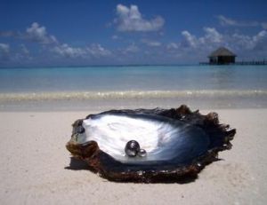 La perle a été posée mais l’huître et le paysage polynésien sont authentiques