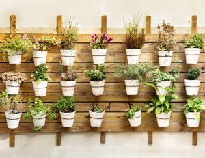 Décorer sa terrasse avec des plantes en pots