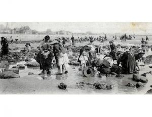 Pêche à pied des crabes au Havre, début du XX ème siècle