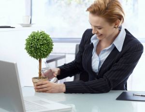 Quelles plantes à mettre pour son bureau ? / iStock.com-nyul